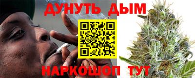 сатива Рязань