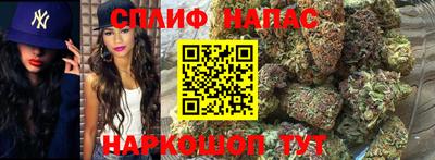 сатива Рязань