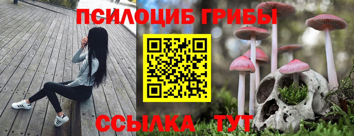 Псилоцибиновые грибы Psilocybe Рыбинск